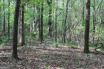 00 Ruffner Road, Barnesville, GA 30204 - Photo 25