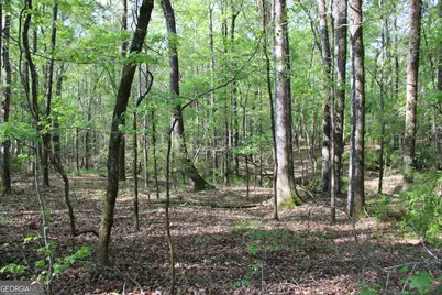 00 Ruffner Road, Barnesville, GA 30204 - Photo 9
