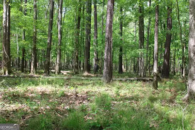 00 Ruffner Road, Barnesville, GA 30204 - Photo 47