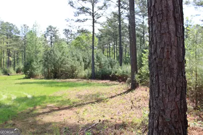 00 Ruffner Road, Barnesville, GA 30204 - Photo 13