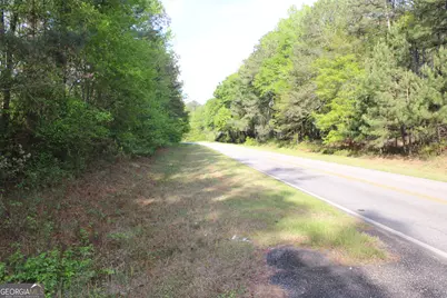 00 Ruffner Road, Barnesville, GA 30204 - Photo 49