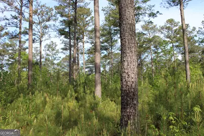 00 Ruffner Road, Barnesville, GA 30204 - Photo 19