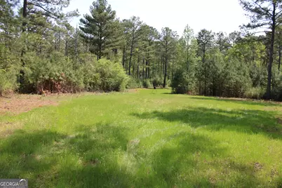 00 Ruffner Road, Barnesville, GA 30204 - Photo 23