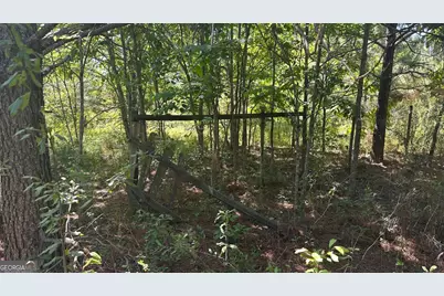 0 Cummings Road #LOT 2, Fort Valley, GA 31030 - Photo 13