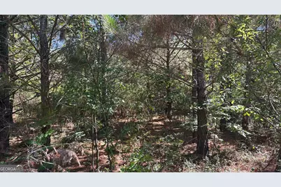 0 Cummings Road #LOT 2, Fort Valley, GA 31030 - Photo 11