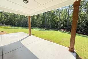 163 Piney Woods Dr, Newnan, GA 30263 - Photo 27