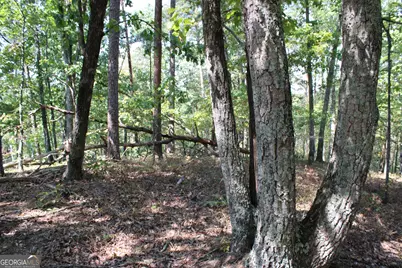 00 Conniston Road, Chatsworth, GA 30705 - Photo 3