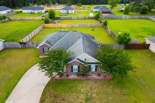162 NE Mancey Garrason Loop, Ludowici, GA 31316 - Photo 3