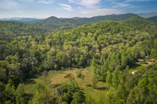 459 Mill Stone Mountain Ln, Blue Ridge, GA 30513 - Photo 23