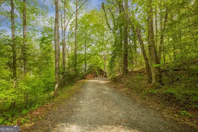 459 Mill Stone Mountain, Blue Ridge, GA 30513 - Photo 21