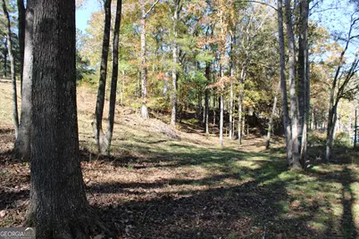 1701 Blue Springs Road, Buckhead, GA 30625 - Photo 21