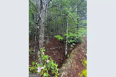 0 441 Expressway, Tallulah Falls, GA 30573 - Photo 5