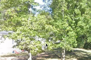 130 Gadsden Ave, Menlo, GA 30731 - Photo 3