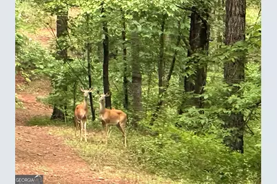 39.87 Acres Irby Road, Gibson, GA 30810 - Photo 3