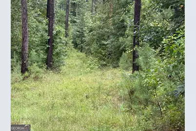 39.87 Acres Irby Road, Gibson, GA 30810 - Photo 25