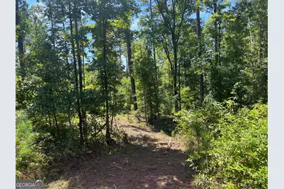 39.87 Acres Irby Road, Gibson, GA 30810 - Photo 55
