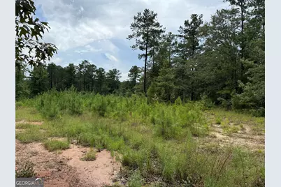 39.87 Acres Irby Road, Gibson, GA 30810 - Photo 31
