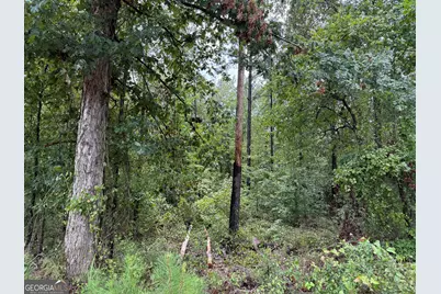 39.87 Acres Irby Road, Gibson, GA 30810 - Photo 49
