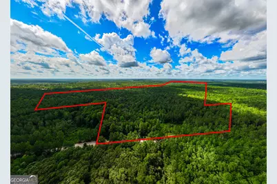 39.87 Acres Irby Road, Gibson, GA 30810 - Photo 1