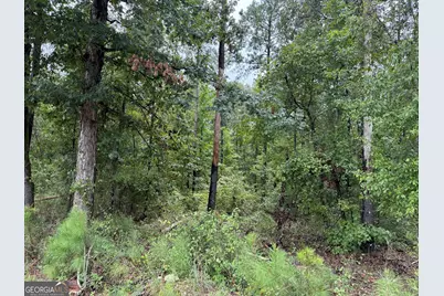 39.87 Acres Irby Road, Gibson, GA 30810 - Photo 51