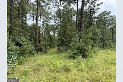 39.87 Acres Irby Road, Gibson, GA 30810 - Photo 35