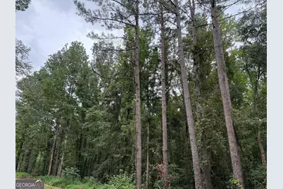 39.87 Acres Irby Road, Gibson, GA 30810 - Photo 45