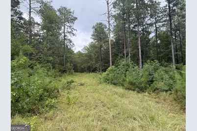 39.87 Acres Irby Road, Gibson, GA 30810 - Photo 27