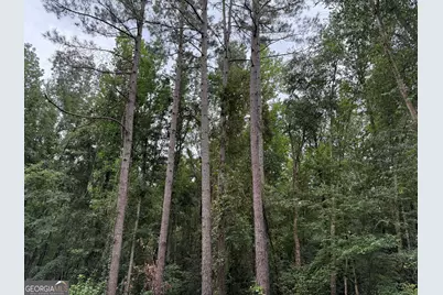 39.87 Acres Irby Road, Gibson, GA 30810 - Photo 47