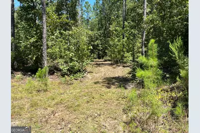 39.87 Acres Irby Road, Gibson, GA 30810 - Photo 19