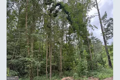 39.87 Acres Irby Road, Gibson, GA 30810 - Photo 43