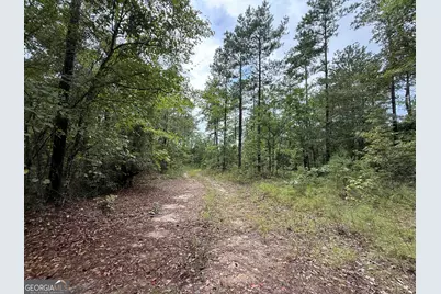 39.87 Acres Irby Road, Gibson, GA 30810 - Photo 53