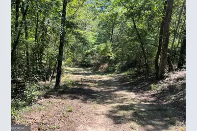 39.87 Acres Irby Road, Gibson, GA 30810 - Photo 15