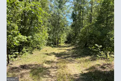 39.87 Acres Irby Road, Gibson, GA 30810 - Photo 11