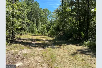 39.87 Acres Irby Road, Gibson, GA 30810 - Photo 17
