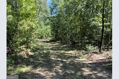 39.87 Acres Irby Road, Gibson, GA 30810 - Photo 13