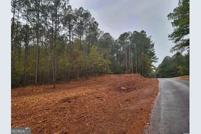 14 Acres Lamars Mill Road, Flovilla, GA 30216 - Photo 1