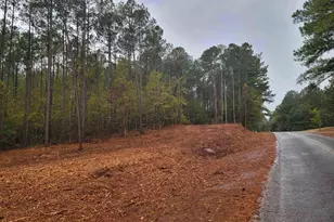 14 Acres Lamars Mill Rd, Flovilla, GA 30216 - Photo 1