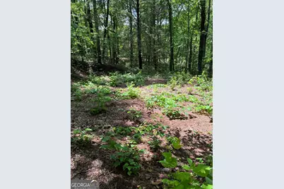 L66 67 Lynx Court #66 67, Ellijay, GA 30540 - Photo 1