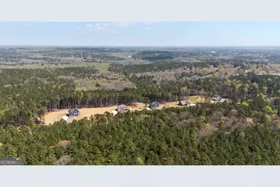 2385 New Hope Road #LOT 1, Locust Grove, GA 30248 - Photo 57