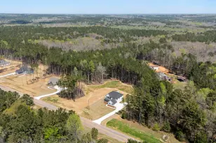 2385 New Hope Rd, Locust Grove, GA 30248 - Photo 53