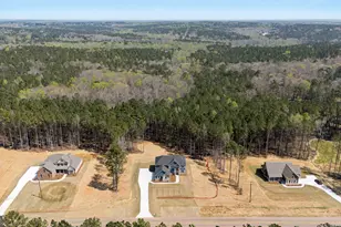 2345 New Hope Rd, Locust Grove, GA 30248 - Photo 55