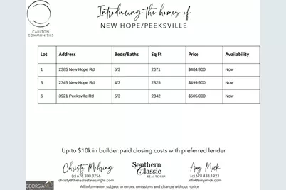 2345 New Hope Road #LOT 3, Locust Grove, GA 30248 - Photo 59