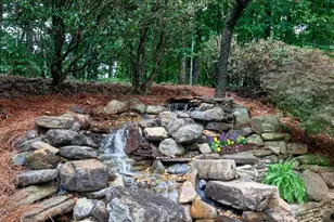 216 Chattan Trail, Peachtree City, GA 30269 - Photo 55