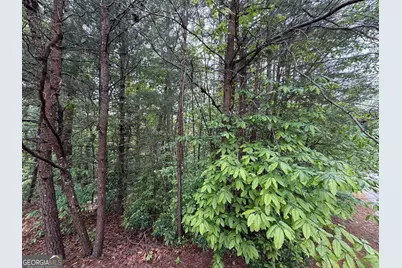 0 Hinterstraten Weg #LOT 116, Helen, GA 30545 - Photo 3