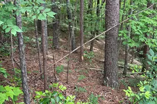 0 Hinterstraten Weg, Helen, GA 30545 - Photo 1