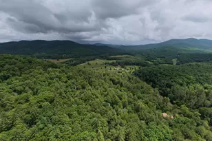 61 Amelia Ln, Blue Ridge, GA 30513 - Photo 53