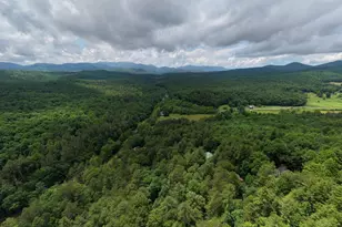 61 Amelia Ln, Blue Ridge, GA 30513 - Photo 55