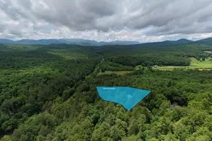 61 Amelia Ln, Blue Ridge, GA 30513 - Photo 55