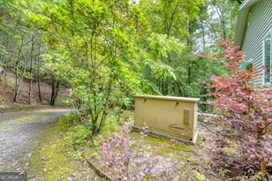 61 Amelia Ln, Blue Ridge, GA 30513 - Photo 47