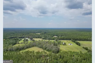 15 Ac Hodges Road, Hinesville, GA 31313 - Photo 3